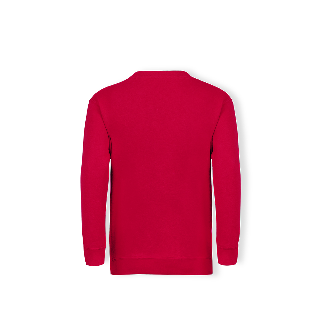 Sudadera Niño Classic Set-In Sweat - Imagen 2