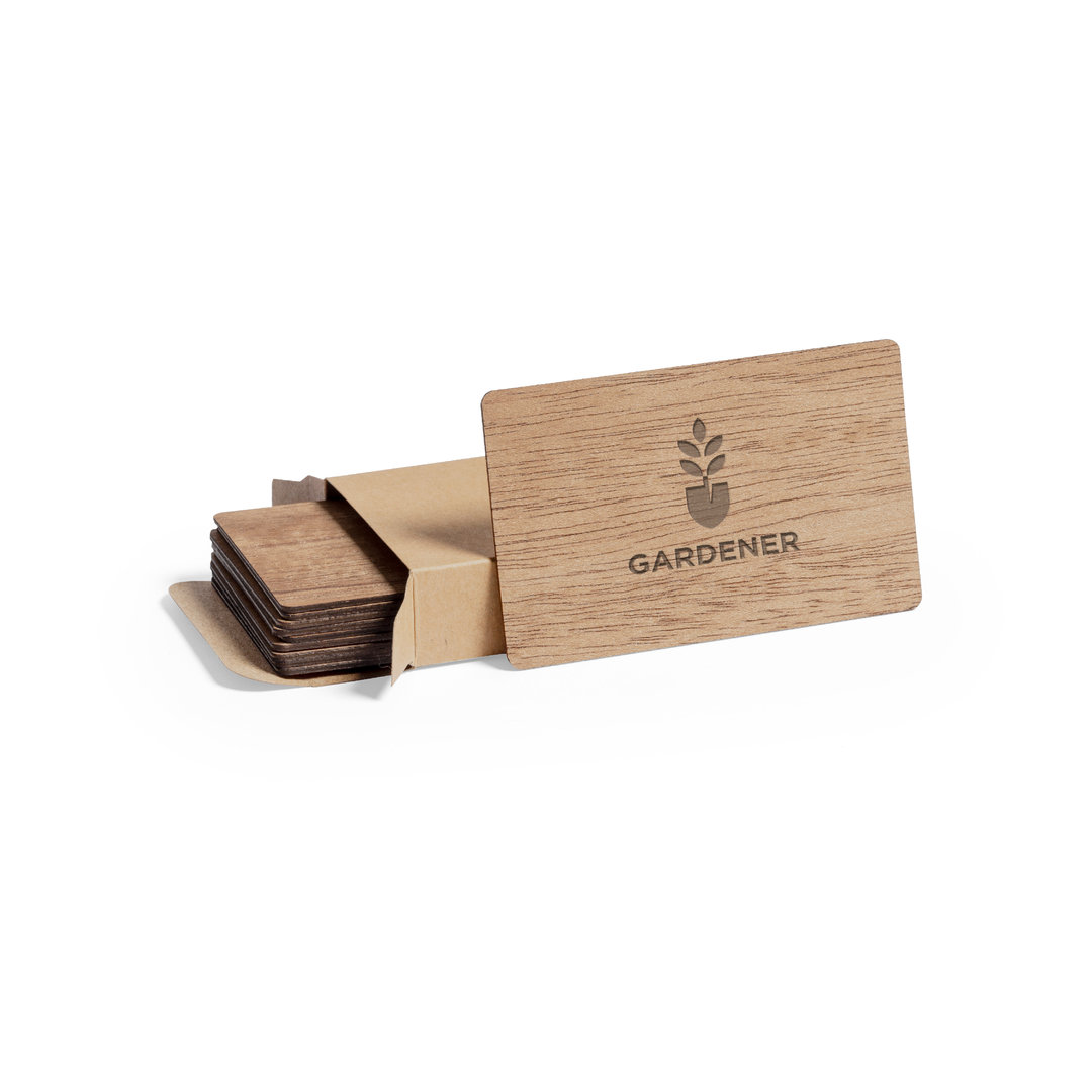 Set Tarjetas Inary - Imagen 4