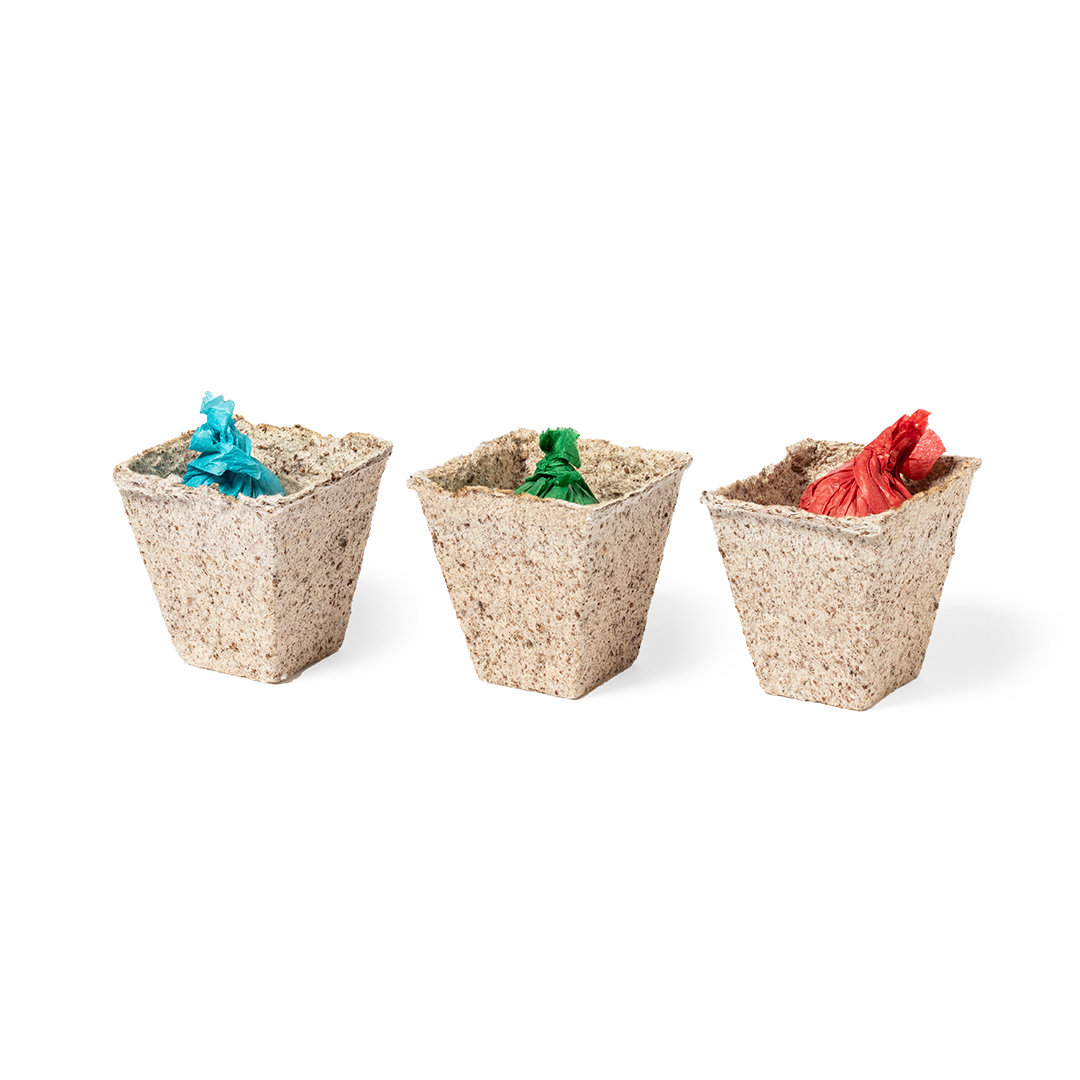Kit Huerto Mendrax - Imagen 2