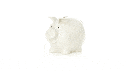 GIF 360