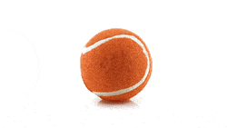 GIF 360