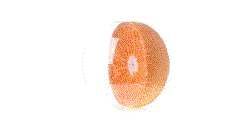 GIF 360