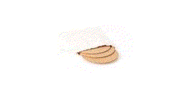 GIF 360