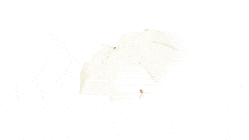 GIF 360