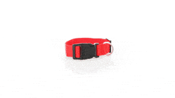 GIF 360