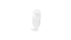 GIF 360
