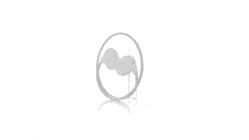 GIF 360