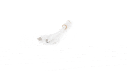 GIF 360