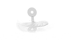 GIF 360