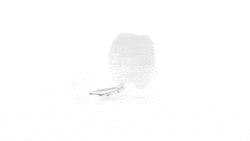 GIF 360