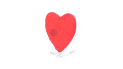 GIF 360