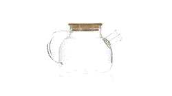 GIF 360
