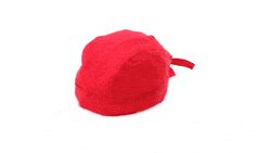 GIF 360