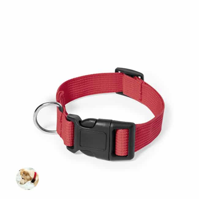 Collar Mastif