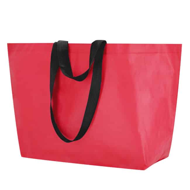 Bolsa Torvik