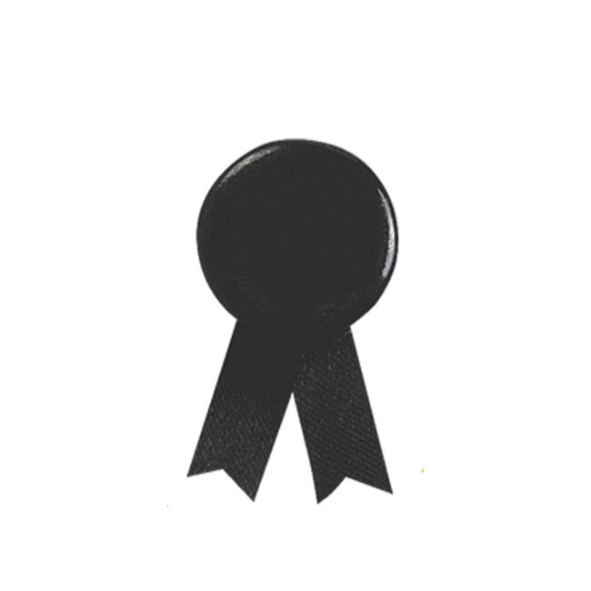Pin Lazo Solidario